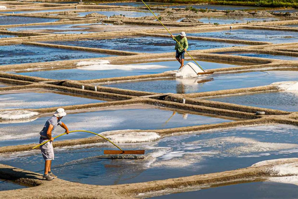 Bretagne Guerande: Die Salzbauern bei Ihrer täglichen Arbeit / © Foto: Georg Berg