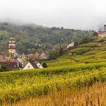 Weinberge und die Burg von Kaysersberg / © Foto: Georg Berg