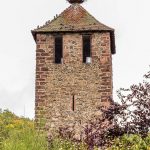 Storch und Tauben auf dem Kessler Turm in Kaysersberg / © Foto: Georg Berg