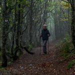 Wanderweg in den Vogesen / © Foto: Georg Berg