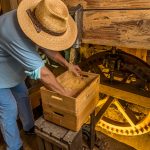 Aus den unterschiedlichen Mahlgraden entstehen unterschiedliche Produkte. Das feine und seidige Farina Bona Mehl wird zum Backen und Aromatisieren von Speisen genutzt / © Foto: Georg Berg