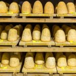 Zincarlin in a rock cellar. Production of the traditional Zincarlin cheese from the Muggio Valley in Ticino, Mendrisio. Three different ages of the Ticino cheese speciality are stored here. The cheese cylinders are washed almost every day with white wine / © Photo: Georg Berg