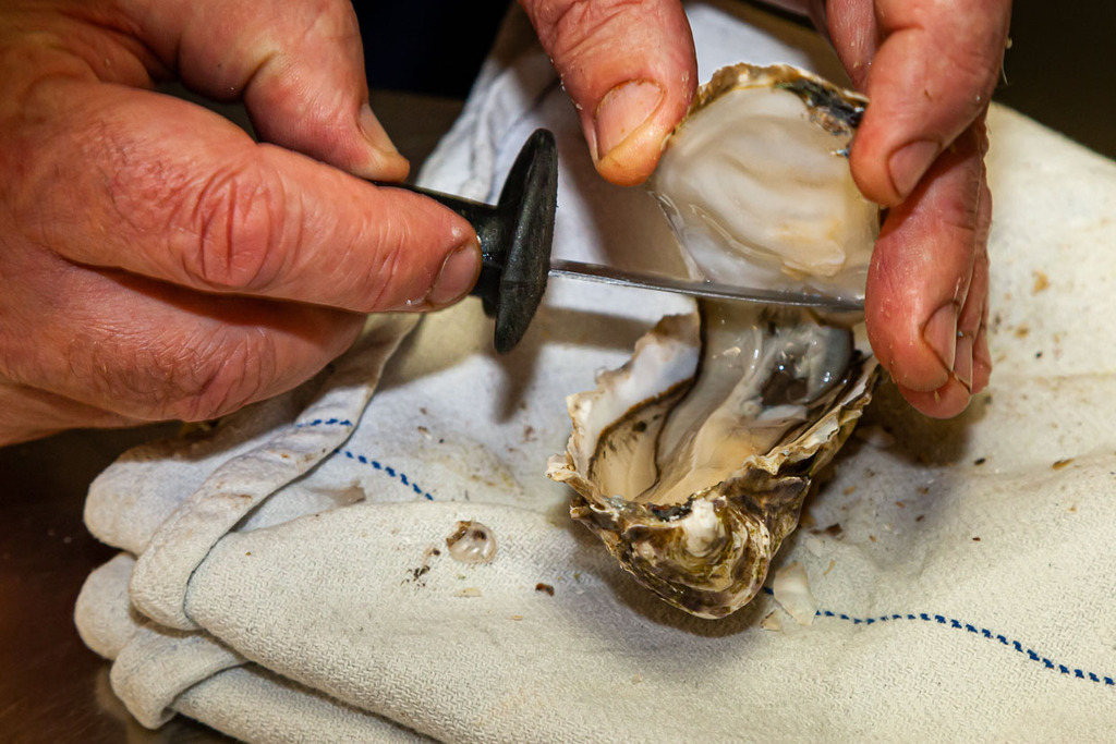Opening an oyster with the oyster knife / © Photo: Georg Berg