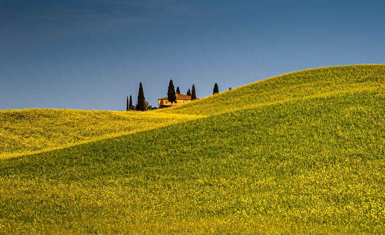 Country house in Tuscany landscape with blooming rape field / © Photo: Georg Berg