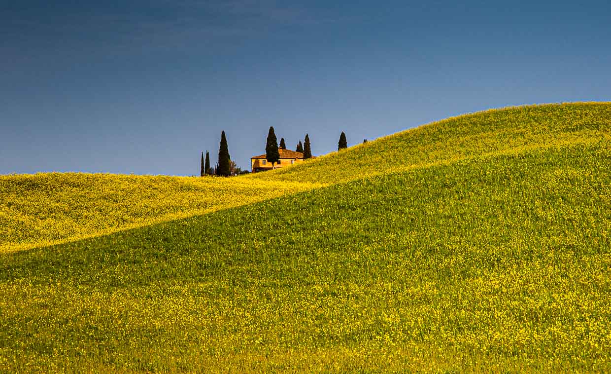 Country house in Tuscany landscape with blooming rape field / © Photo: Georg Berg