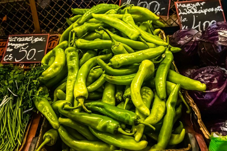 Hungarian green fresh peppers / © Photo: Georg Berg