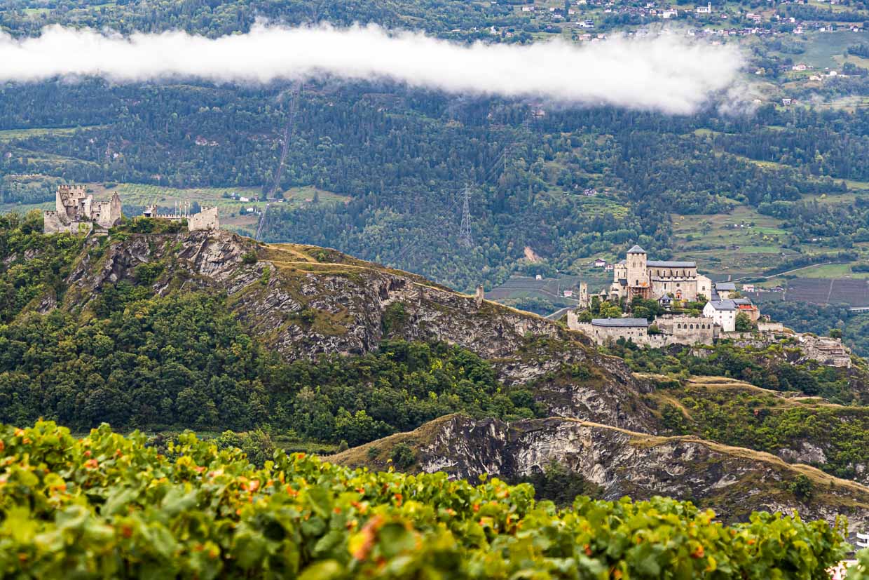 Sion with the castles Valère and Tourbillon surrounded by vineyards / © Photo: Georg Berg