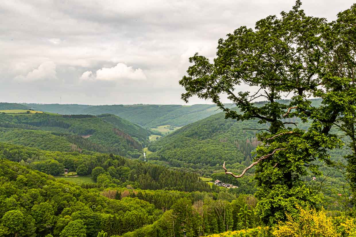Landscape on the river Sûre in Luxembourg / © Photo: Georg Berg