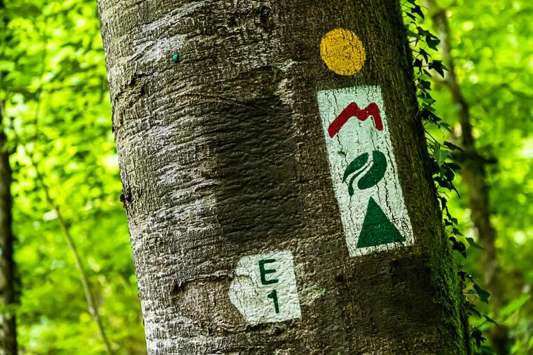 Marked hiking trails in Luxembourg / © Photo: Georg Berg