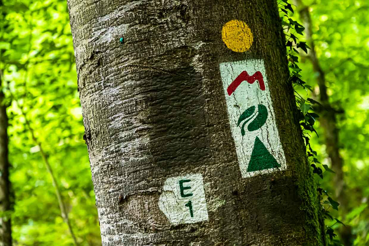 Green hiking country Luxembourg