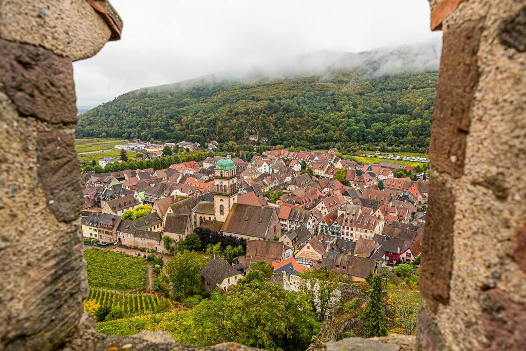 Vineyards, half-timbered houses and the castle characterize Kaysersberg in Alsace / © Photo: Georg Berg