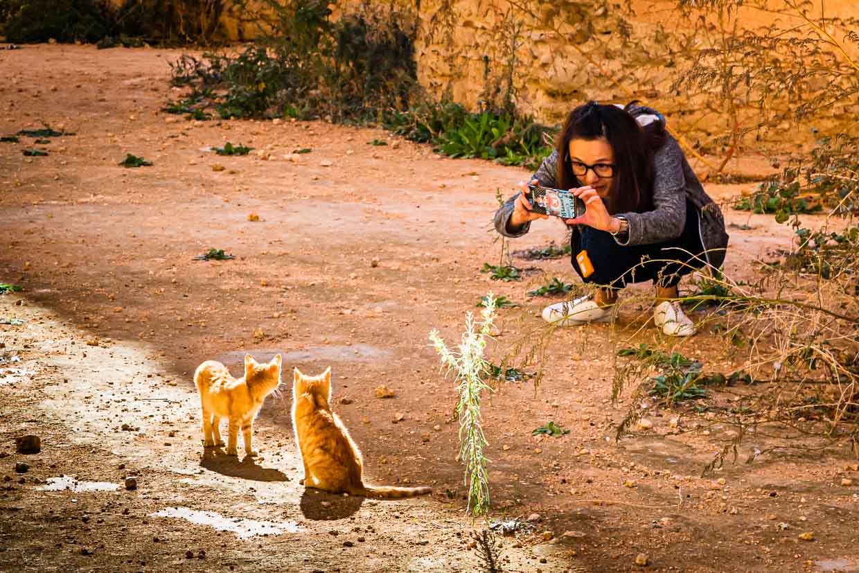 Making-off of a cat photo. Young woman taking a photo of kittens in the old town of Meknes, Morocco. Surely this cat photo was also shared on social media afterwards / © Photo: Georg Berg