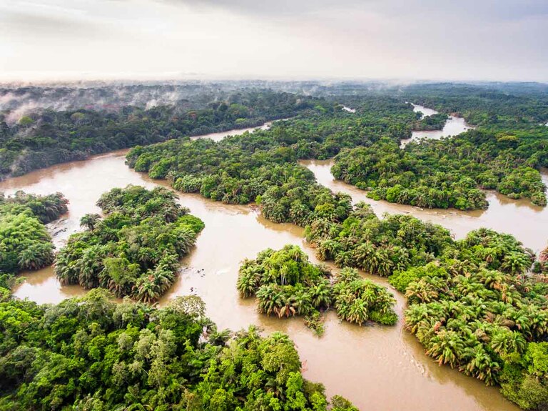 Aerial view of the Moa River in Sierra Leone / © Photo: Georg Berg