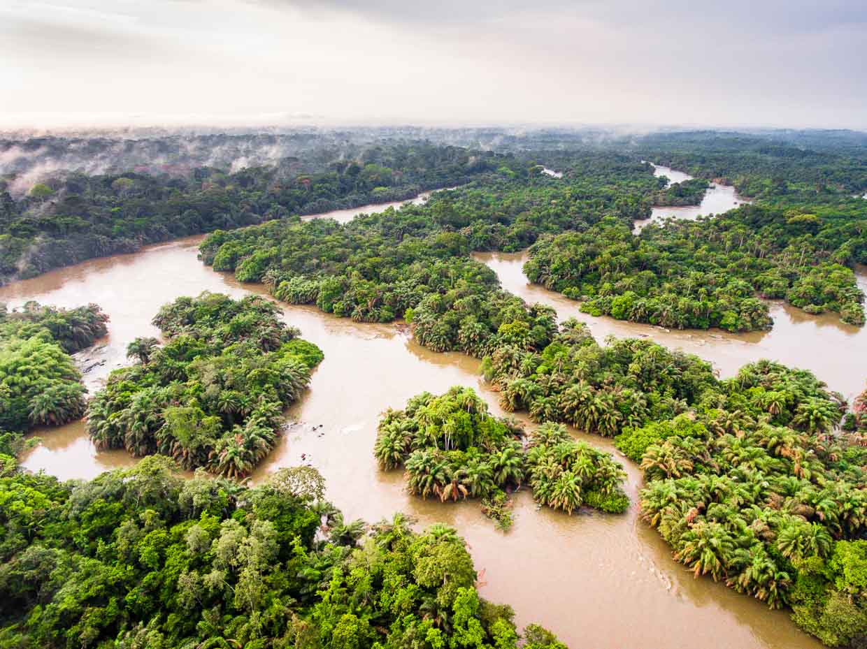 Aerial view of the Moa River in Sierra Leone / © Photo: Georg Berg