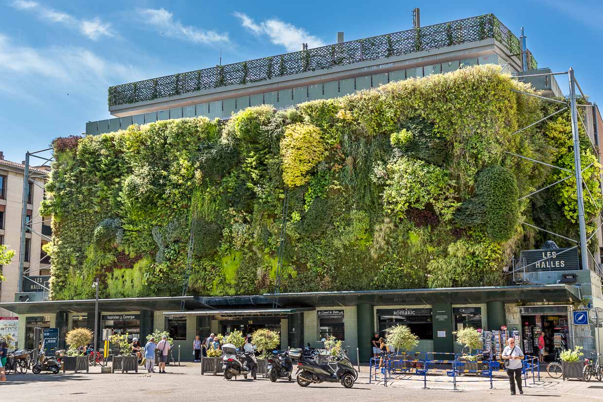 Les Halles market hall in Avignon. Patrick Blanc's plant wall has a sophisticated irrigation system and triggered a boom in vertical urban greening worldwide. 20 plants grow on one square meter / © Photo: Georg Berg