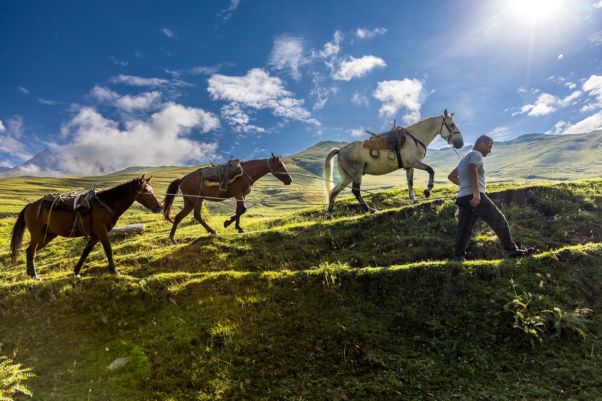 Pack horses are the main means of transportation in Tusheti / © Photo: Georg Berg