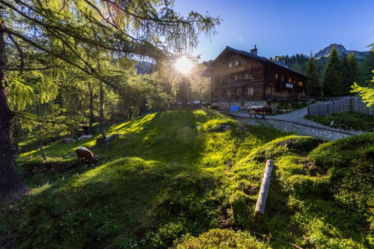 Morning mood on the mountain pasture: the sun emerges from behind the mountains and the cows head out to graze for the day / © Photo: Georg Berg