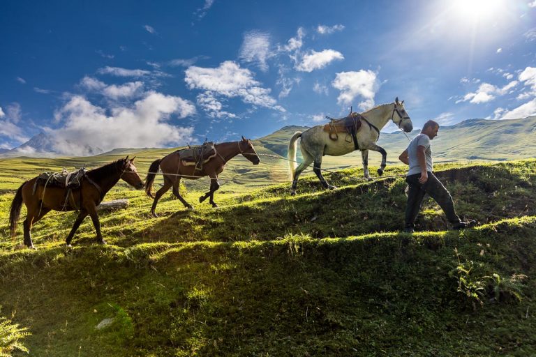 Pack horses are the most important means of transportation in Tusheti / © Photo: Georg Berg
